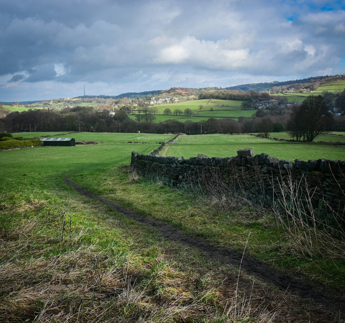a grassy field with a dirt path leading to a stone wall
